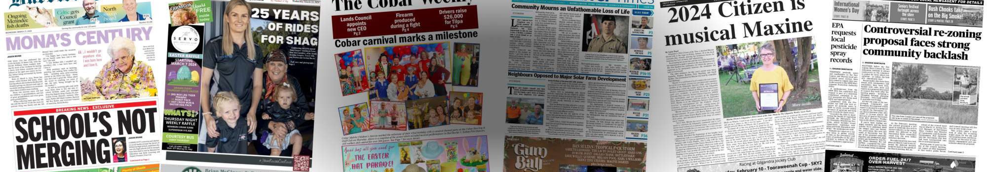 Nsw Members Title Strip 300 2 Compressed