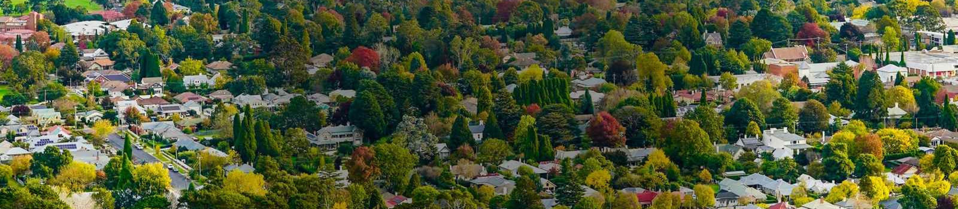 Titlestrip Default 2 Compressed